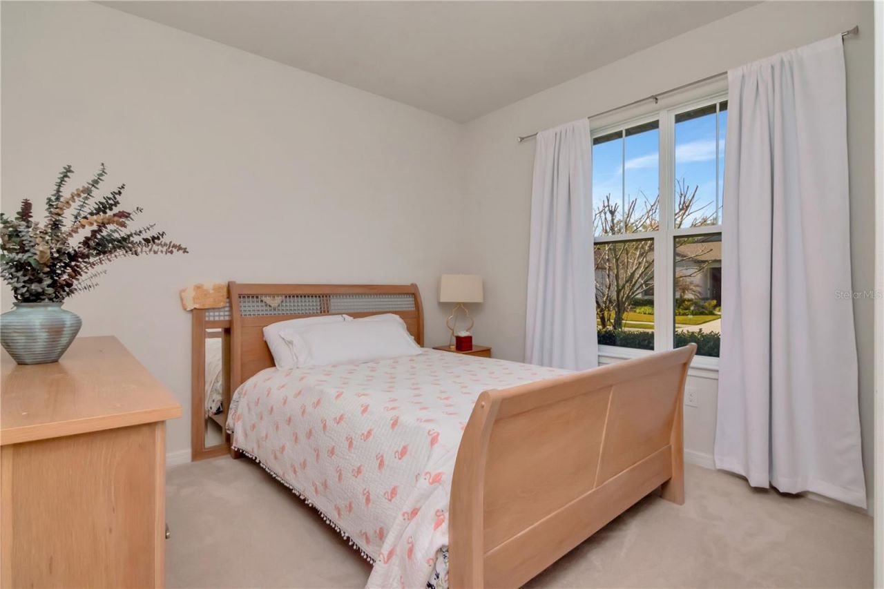 6462 Bradford Woods Drive , Zephyrhills, FL 33542 Photo