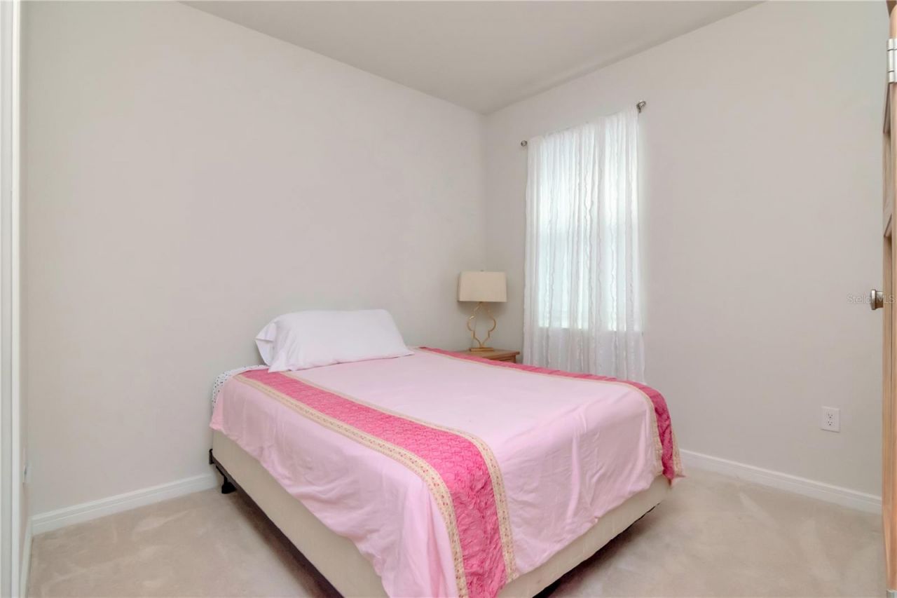 6462 Bradford Woods Drive , Zephyrhills, FL 33542 Photo