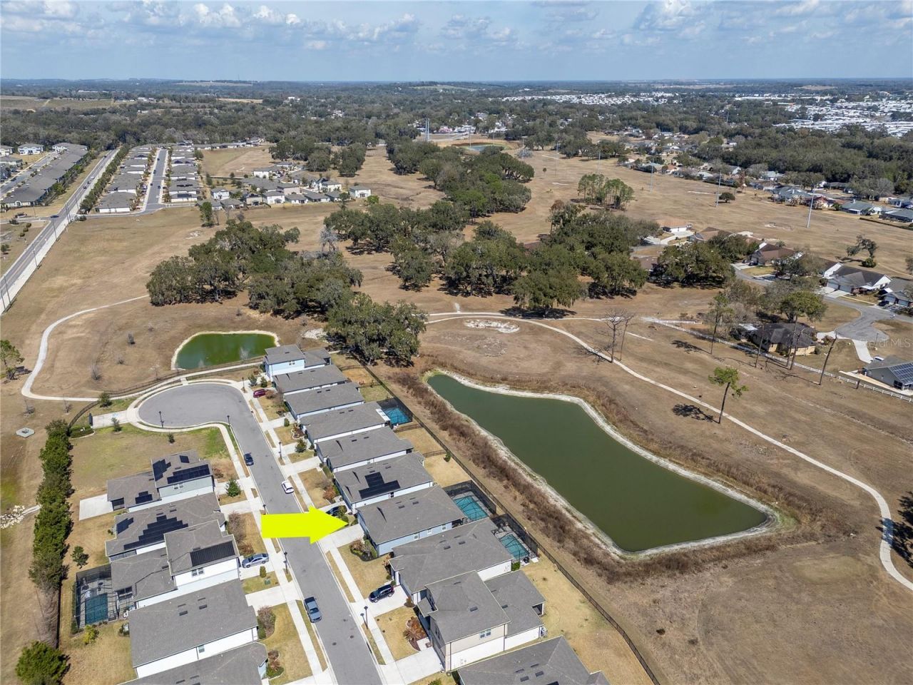 6462 Bradford Woods Drive , Zephyrhills, FL 33542 Photo