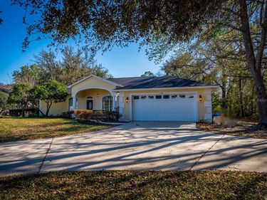 814 BRANTENBURG WAY , LUTZ, FL 33548