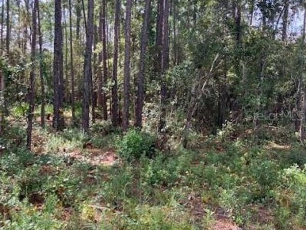 4515 MAHOGANY BOULEVARD, BUNNELL, FL 32110