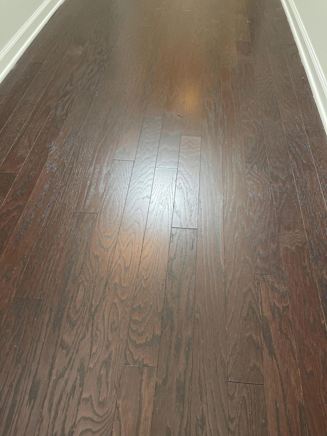7714 High Maple Circle Photo 14