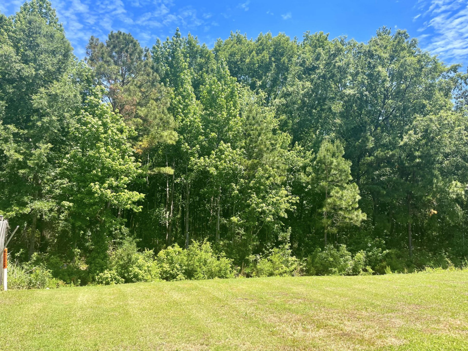 7714 High Maple Circle Photo 34