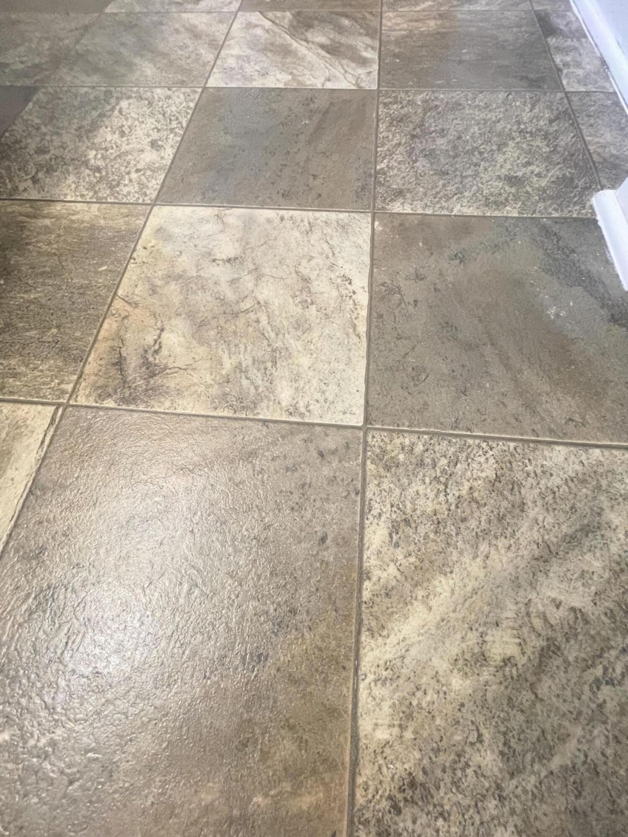 7714 High Maple Circle Photo 34