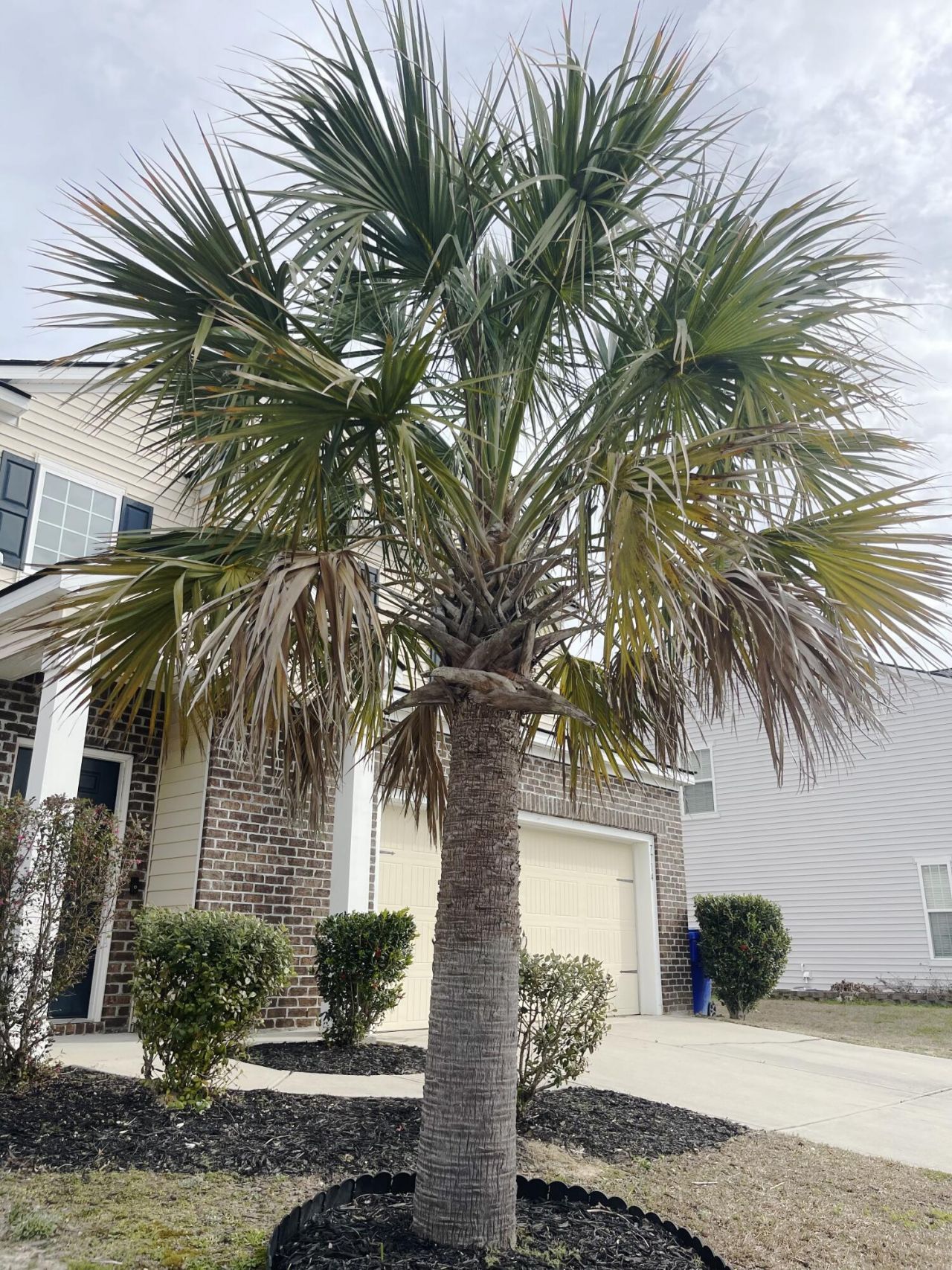 7714 High Maple Circle Photo 4