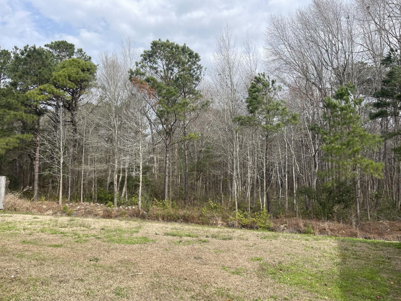 7714 High Maple Circle Photo 44