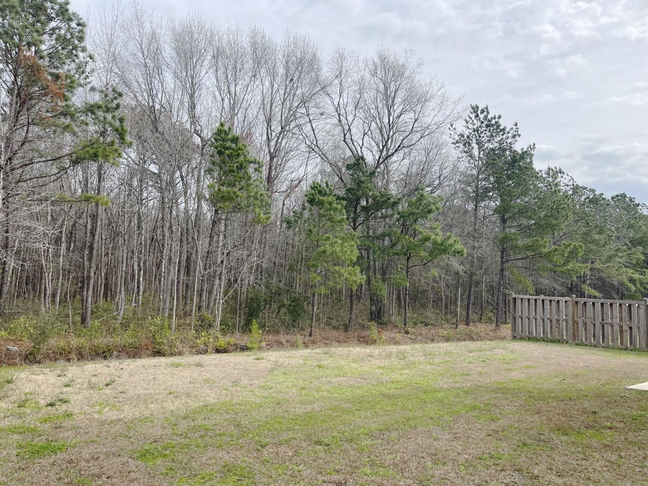 7714 High Maple Circle Photo 45