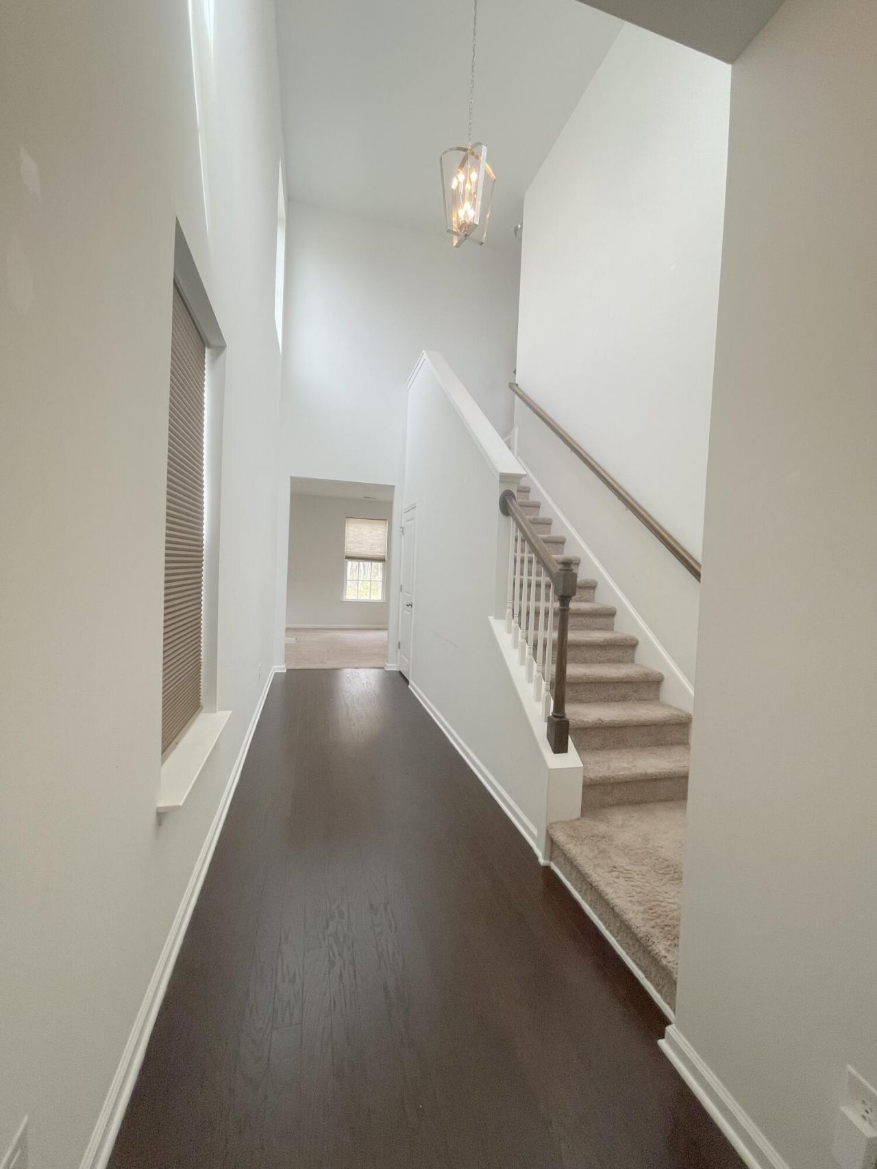 7714 High Maple Circle Photo 7