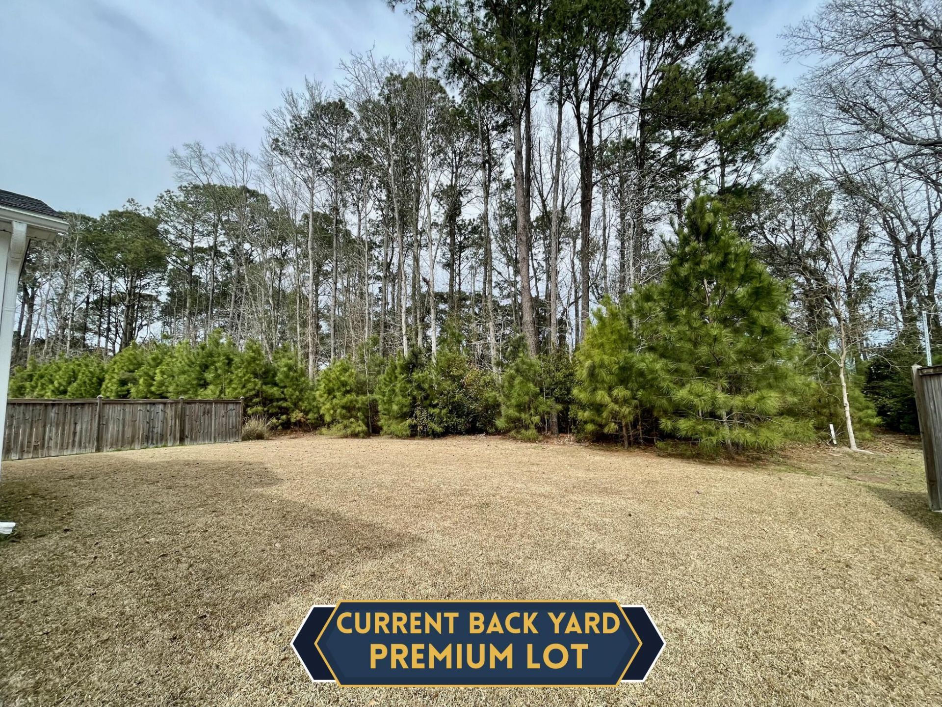 2848 Cavalcade Circle Photo 17