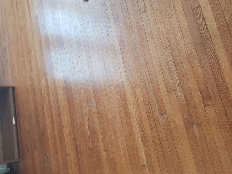 157 W High Street, Circleville, OH 43113 Photo 13