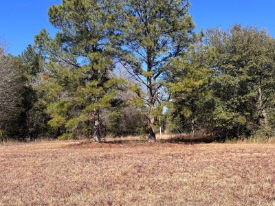 TBD Veterans Road, Salley, SC 29137