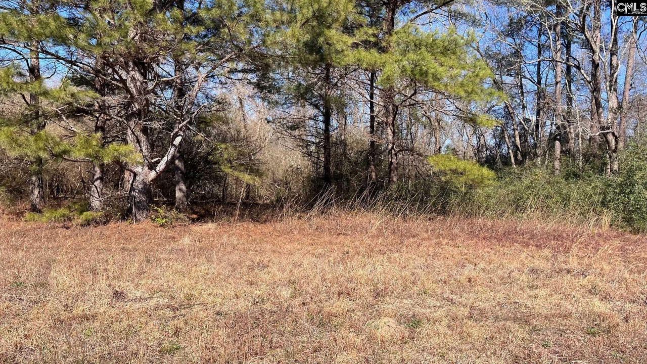 Tbd Veterans Road Photo 13