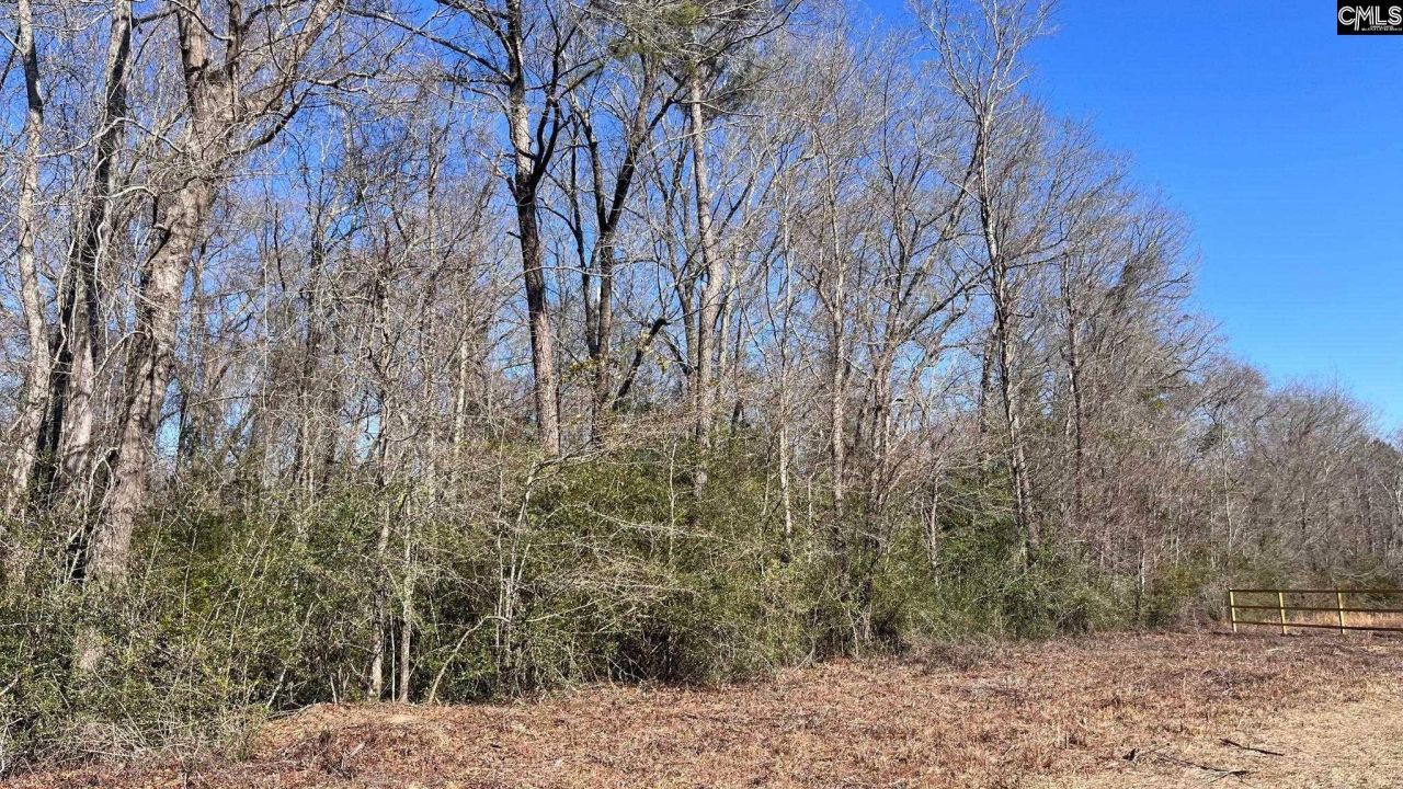 Tbd Veterans Road Photo 14