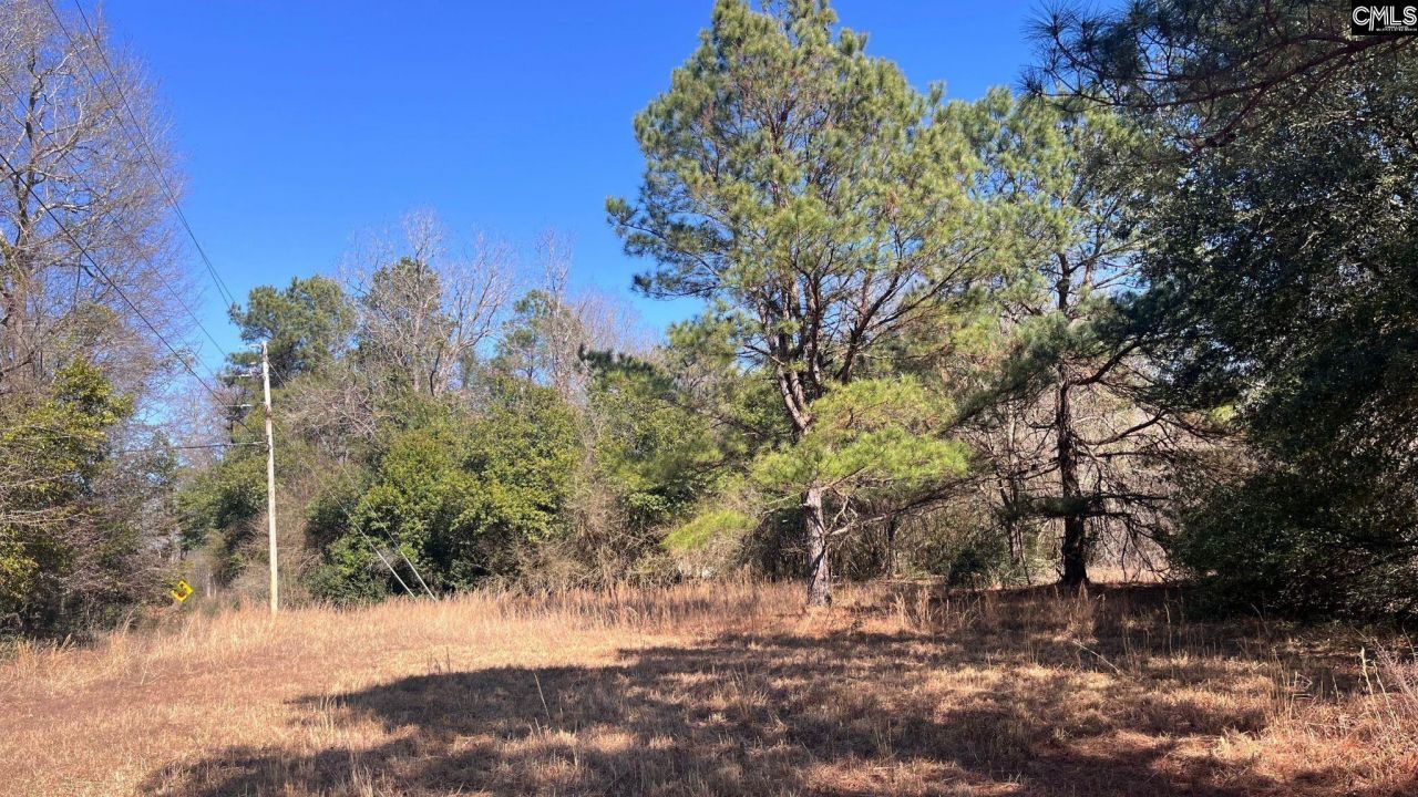 Tbd Veterans Road Photo 17