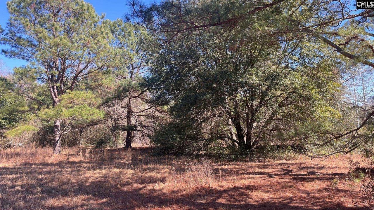 Tbd Veterans Road Photo 18