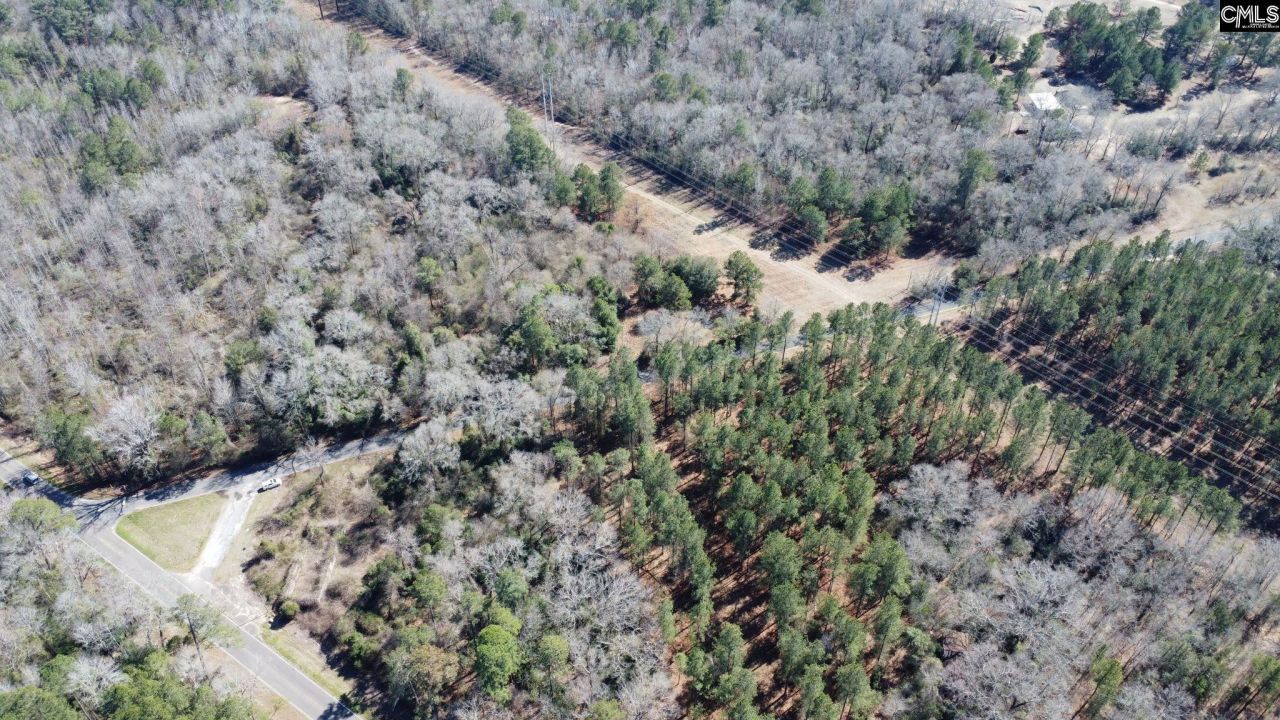 Tbd Veterans Road Photo 4