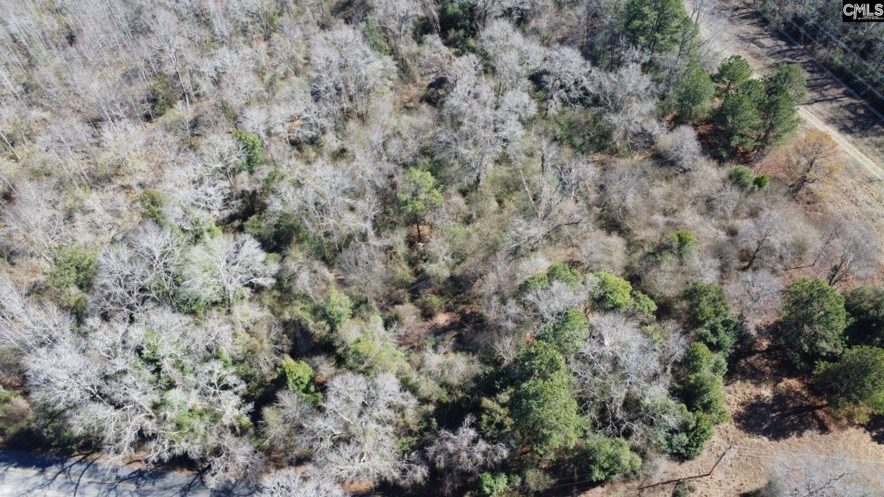 Tbd Veterans Road Photo 6