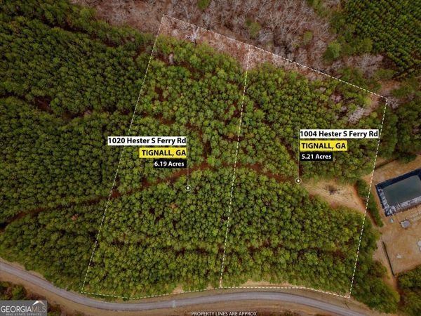 1004 Hesters Ferry Road, Tignall, GA 30668