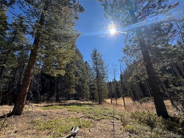 Lot 14X Wallace Avenue, Conifer, CO 80433