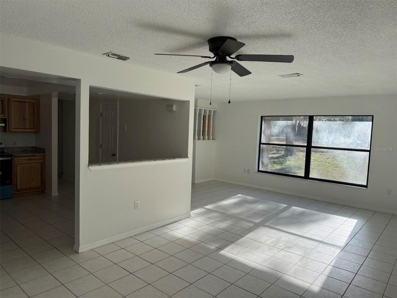 3207 E Withlacoochee Trail, Dunnellon, FL 34434 Photo