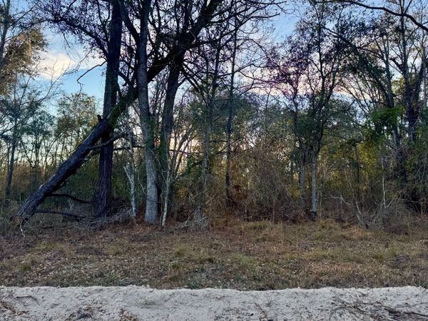 LT151 NW 22ND TERRACE, Jasper, FL 32052