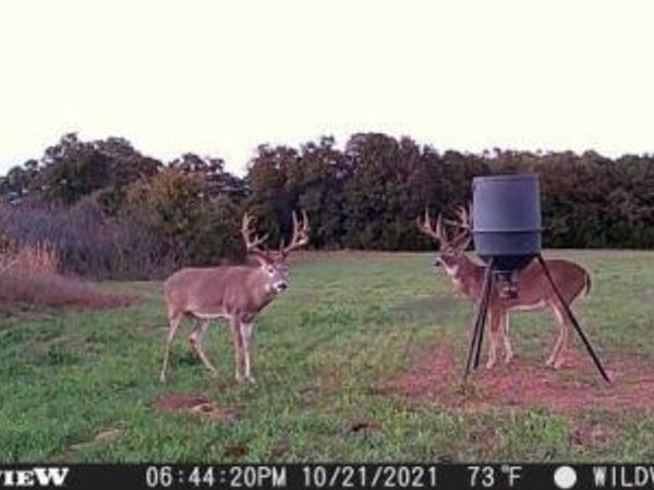 E 850 Road, Chandler, OK 74834