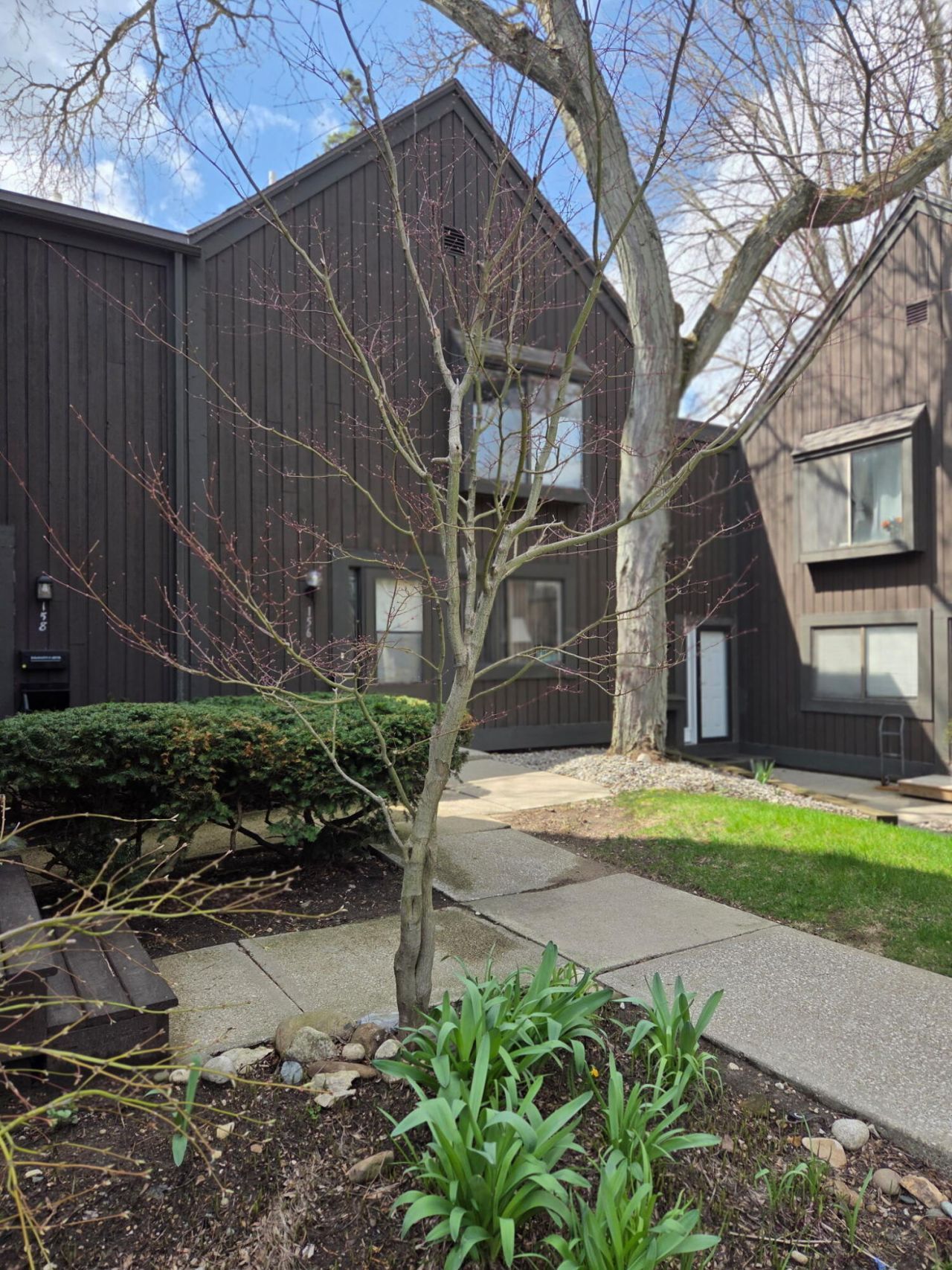 156 Carberry Hill Court, Kalamazoo, MI 49006 Main Photo