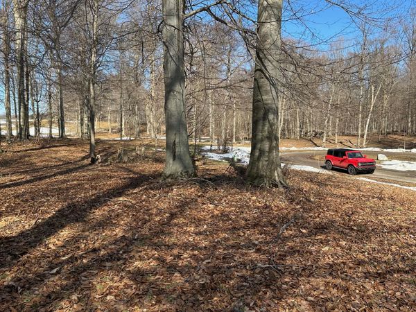 8828 Beechwood Court, Berrien Center, MI 49102