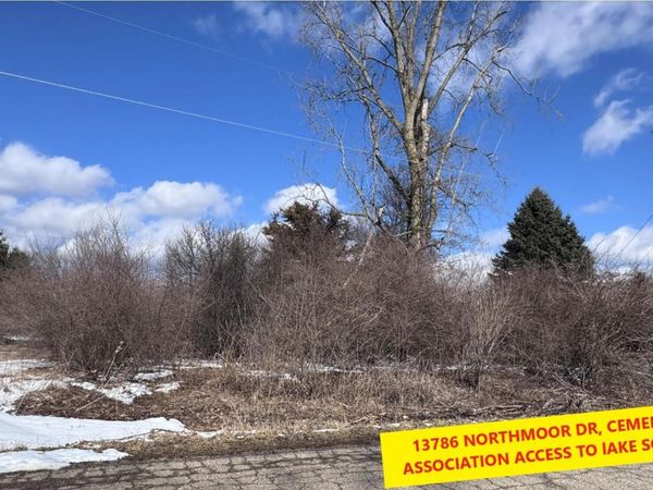 13786 Northmoor Drive, Cement City, MI 49233