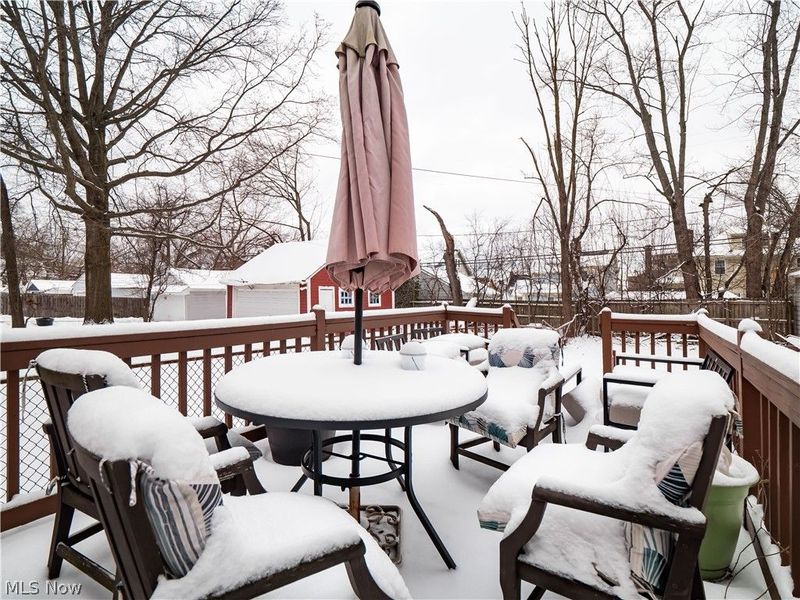 3163 Sycamore Road, Cleveland Heights, OH 44118 Photo 39