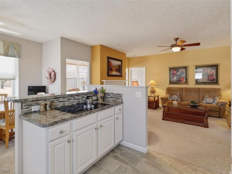 2135 Charles Court, Avon, OH 44011 Photo 15