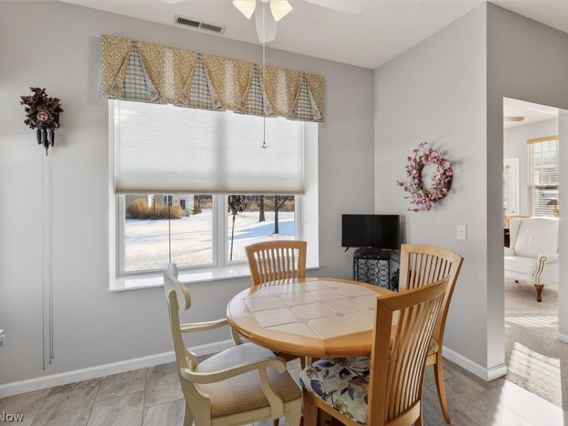 2135 Charles Court, Avon, OH 44011 Photo 20