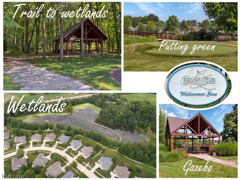 2135 Charles Court, Avon, OH 44011 Photo 46