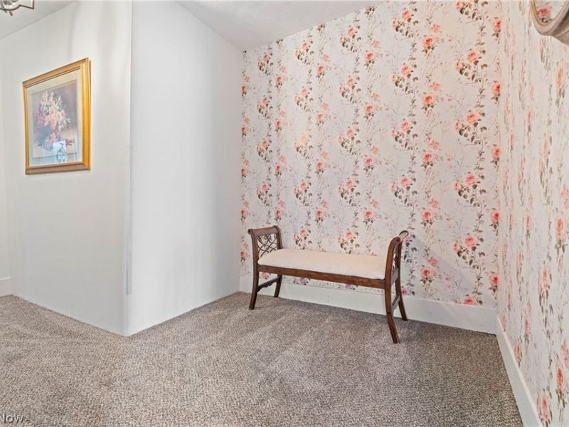 241 E Lisbon Street, Waynesburg, OH 44688 Photo 25