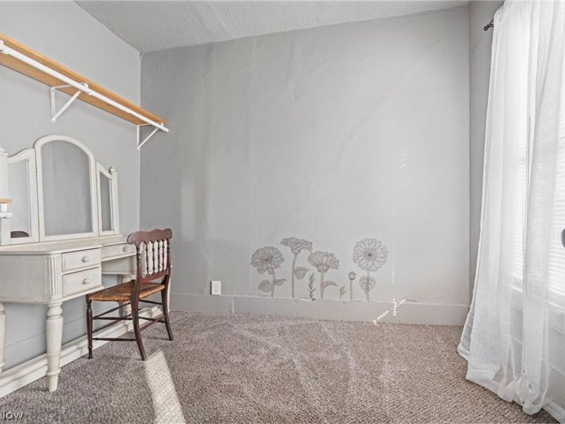 241 E Lisbon Street, Waynesburg, OH 44688 Photo 27