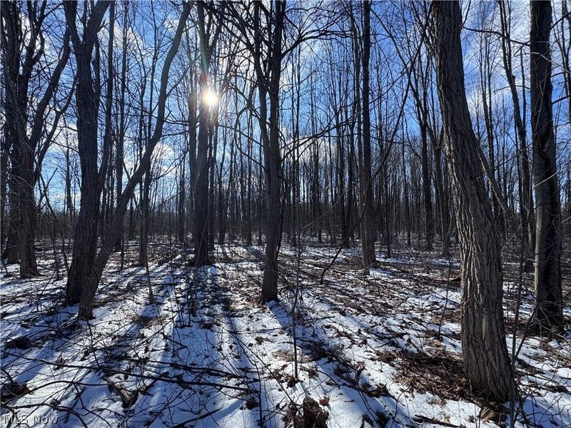 V/L 5 Painesville Warren Road, Leroy, OH 44077 Photo 10