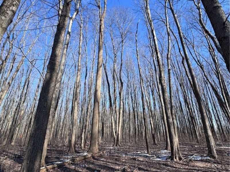 V/L 5 Painesville Warren Road, Leroy, OH 44077 Photo 7