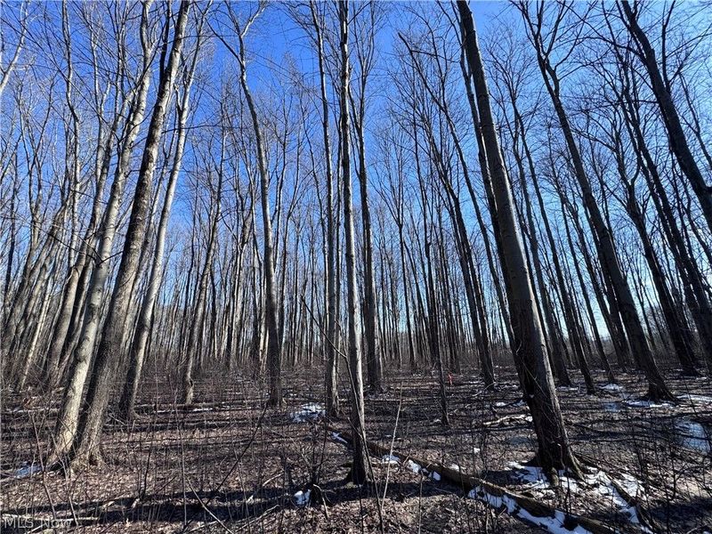 V/L 5 Painesville Warren Road, Leroy, OH 44077 Photo 8