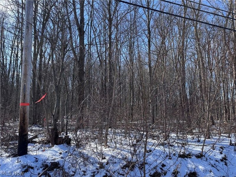 V/L 2 Leroy Center Road, Leroy, OH 44077 Photo 14