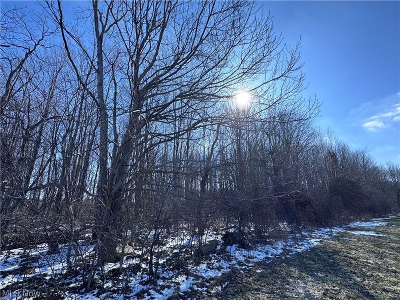 V/L 2 Leroy Center Road, Leroy, OH 44077 Photo 3