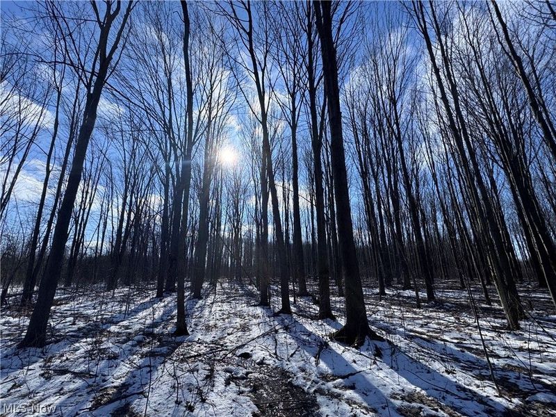 V/L 2 Leroy Center Road, Leroy, OH 44077 Photo 4