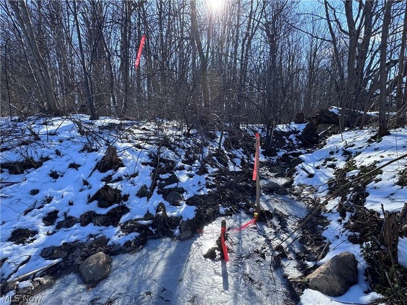 V/L 2 Leroy Center Road, Leroy, OH 44077 Photo 5