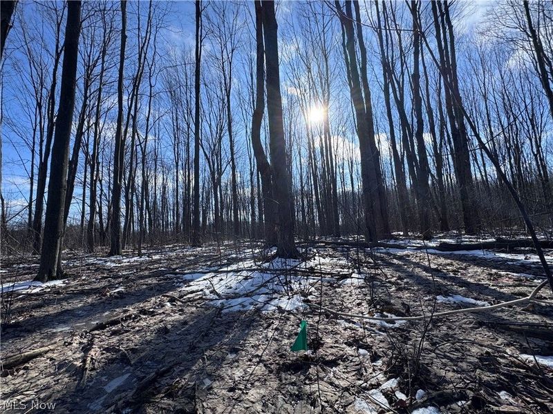 V/L 2 Leroy Center Road, Leroy, OH 44077 Photo 8