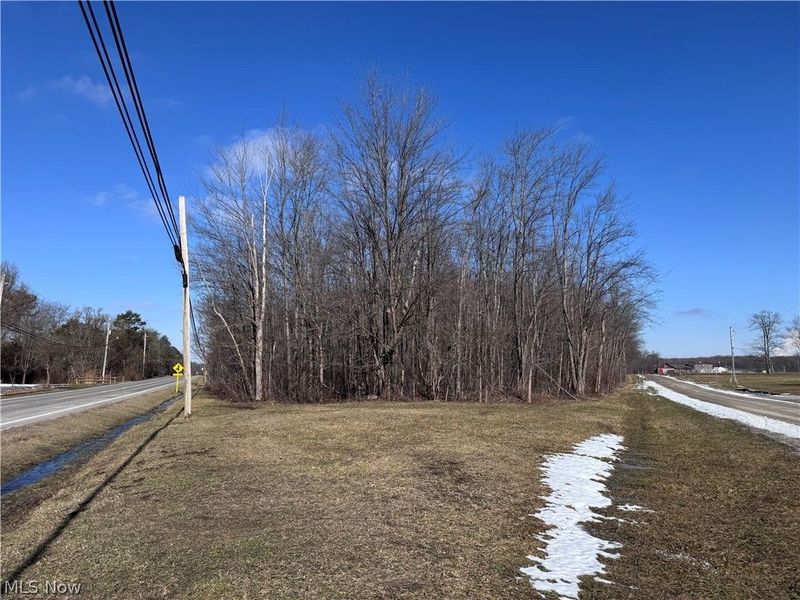 V/L 4 Painesville Warren Road, Leroy, OH 44077 Photo 1