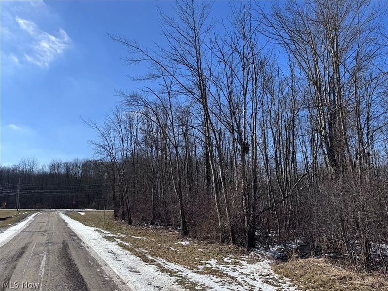 V/L 4 Painesville Warren Road, Leroy, OH 44077 Photo 10