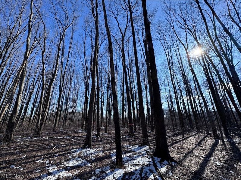 V/L 4 Painesville Warren Road, Leroy, OH 44077 Photo 5