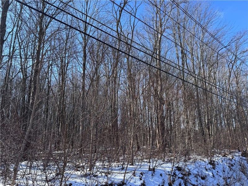 V/L 4 Painesville Warren Road, Leroy, OH 44077 Photo 8