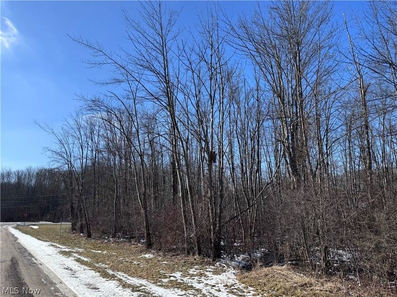 V/L 4 Painesville Warren Road, Leroy, OH 44077 Photo 9