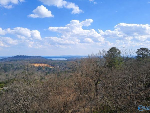 5055 County Road 48, Cedar Bluff, AL 35959