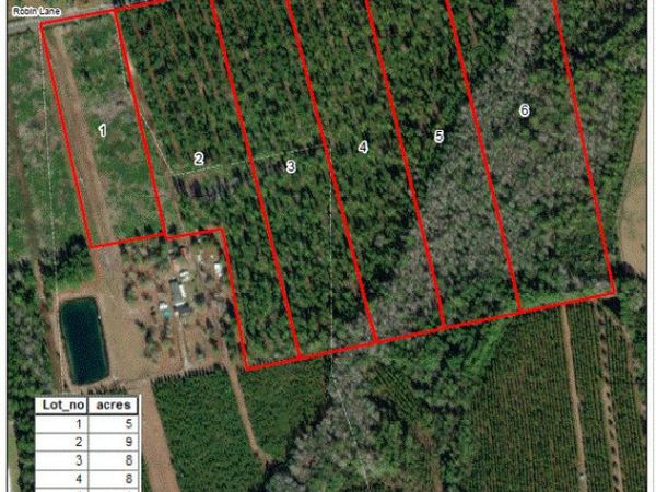 0 Robin Lane, Homeland, GA 31537